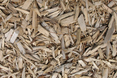 biomass boilers Lusta